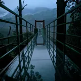 Thollayiram Kandi Forest Wayanad 